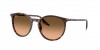 RB2204 Sunglasses