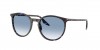 RB2204 Sunglasses