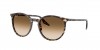 RB2204 Sunglasses