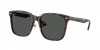 RB2206D Sunglasses