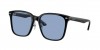 RB2206D Sunglasses