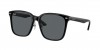 RB2206D Sunglasses