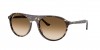 RB2215F Sunglasses
