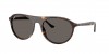 RB2215F Sunglasses
