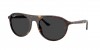 RB2215 Sunglasses