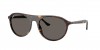 RB2215 Sunglasses