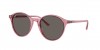 RB2230 Sunglasses