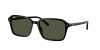 RB2231 Raimond Sunglasses