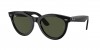 RB2241F Wayfarer Way Sunglasses