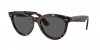 RB2241F Wayfarer Way Sunglasses