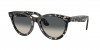 RB2241 Wayfarer Way Sunglasses