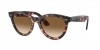 RB2241 Wayfarer Way Sunglasses