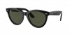 RB2241 Wayfarer Way Sunglasses