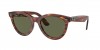 RB2241 Wayfarer Way Sunglasses