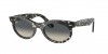 RB2242F Wayfarer Oval Sunglasses