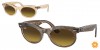 RB2242F Wayfarer Oval Sunglasses