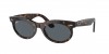 RB2242F Wayfarer Oval Sunglasses