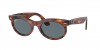 RB2242F Wayfarer Oval Sunglasses