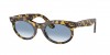 RB2242 Wayfarer Oval Sunglasses