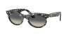 RB2242 Wayfarer Oval Sunglasses