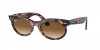 RB2242 Wayfarer Oval Sunglasses