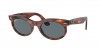 RB2242 Wayfarer Oval Sunglasses