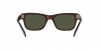 RB2283 Mr Burbank Sunglasses
