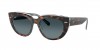 RB2286 Doreen Sunglasses