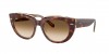 RB2286 Doreen Sunglasses