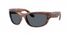 RB2289 Mega Balorama Sunglasses