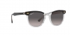 RB2298 Hawkeye Sunglasses