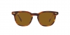 RB2298 Hawkeye Sunglasses