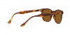 RB2298 Hawkeye Sunglasses