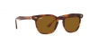 RB2298 Hawkeye Sunglasses
