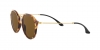 RB2447 Round Sunglasses