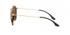 RB2447 Round Sunglasses