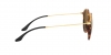 RB2447 Round Sunglasses
