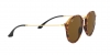 RB2447 Round Sunglasses