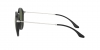 RB2447 Round Sunglasses