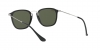 RB2447 Round Sunglasses