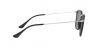 RB2447 Round Sunglasses