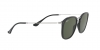 RB2447 Round Sunglasses