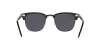 RB3016 Clubmaster Sunglasses