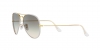 RB3025JM Aviator Full Color Sunglasses