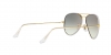 RB3025JM Aviator Full Color Sunglasses
