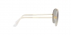 RB3025JM Aviator Full Color Sunglasses