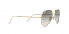 RB3025JM Aviator Full Color Sunglasses