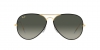 RB3025JM Aviator Full Color Sunglasses