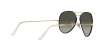 RB3025JM Aviator Full Color Sunglasses