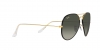 RB3025JM Aviator Full Color Sunglasses